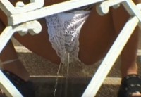 ������� �� ����� ����� ���� ������ ����� ����� ����� � ���������